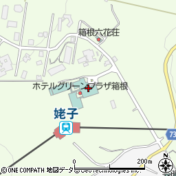 神奈川県足柄下郡箱根町仙石原1244-2周辺の地図