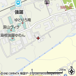 神奈川県足柄下郡箱根町強羅1300-172周辺の地図