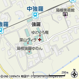 神奈川県足柄下郡箱根町強羅1300-518周辺の地図