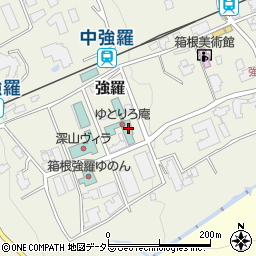 神奈川県足柄下郡箱根町強羅1300-120周辺の地図