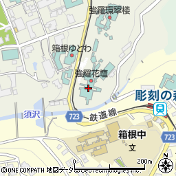 神奈川県足柄下郡箱根町強羅1300-103周辺の地図
