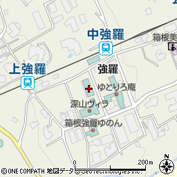 神奈川県足柄下郡箱根町強羅1300-238周辺の地図