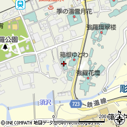 神奈川県足柄下郡箱根町強羅1300-28周辺の地図