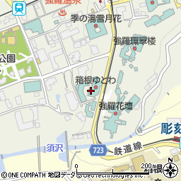 神奈川県足柄下郡箱根町強羅1300-27周辺の地図