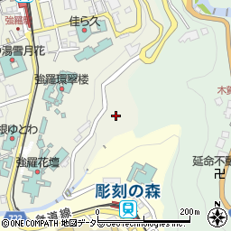 神奈川県足柄下郡箱根町強羅1300-194周辺の地図