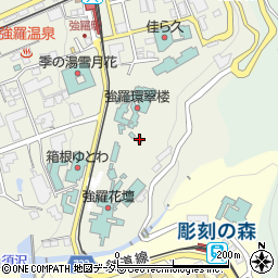 神奈川県足柄下郡箱根町強羅1300-20周辺の地図