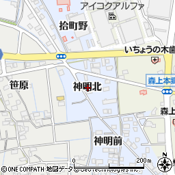 愛知県稲沢市祖父江町本甲神明北周辺の地図