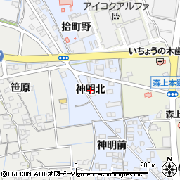 愛知県稲沢市祖父江町本甲（神明北）周辺の地図