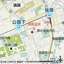 神奈川県足柄下郡箱根町強羅1300-46周辺の地図