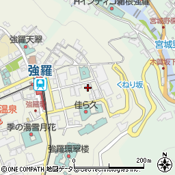 神奈川県足柄下郡箱根町強羅1300-392周辺の地図