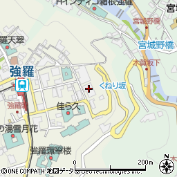 神奈川県足柄下郡箱根町強羅1300-4周辺の地図