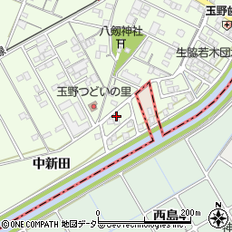 愛知県一宮市玉野中新田1-9周辺の地図