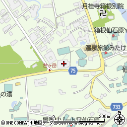 神奈川県足柄下郡箱根町仙石原934-25周辺の地図