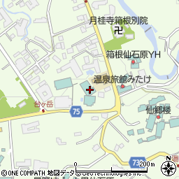 神奈川県足柄下郡箱根町仙石原934-29周辺の地図