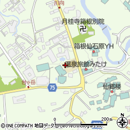 神奈川県足柄下郡箱根町仙石原934-8周辺の地図