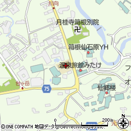 神奈川県足柄下郡箱根町仙石原934周辺の地図