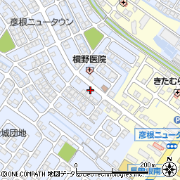 滋賀県彦根市大藪町2034-6周辺の地図