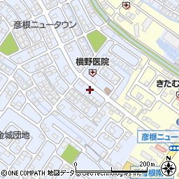 滋賀県彦根市大藪町2034-8周辺の地図