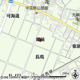 愛知県一宮市玉野（郷前）周辺の地図