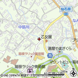 神奈川県足柄下郡箱根町仙石原221周辺の地図