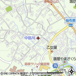 神奈川県足柄下郡箱根町仙石原216-8周辺の地図