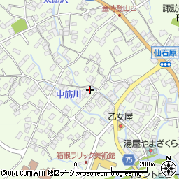 神奈川県足柄下郡箱根町仙石原216周辺の地図