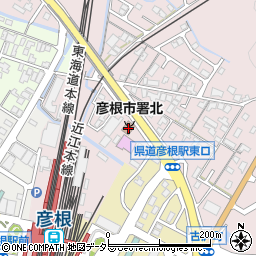 滋賀県彦根市古沢町503-1周辺の地図