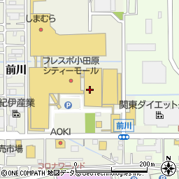 スタジオアリス　小田原ダイナシティーモール店周辺の地図
