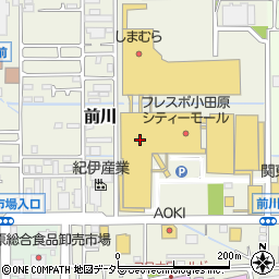 セリアフレスポ小田原シティーモール店周辺の地図