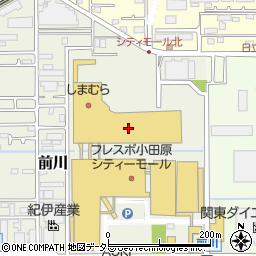 ダイソーフレスポ小田原シティーモール店周辺の地図