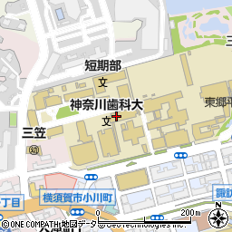 神奈川歯科大学　大講堂周辺の地図