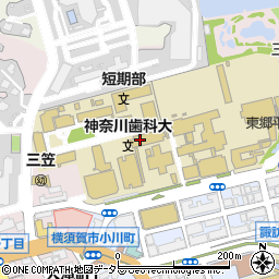 神奈川歯科大学　大講堂周辺の地図