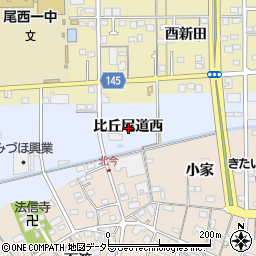愛知県一宮市西五城比丘尼道西周辺の地図