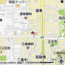 愛知県一宮市三条道東28周辺の地図