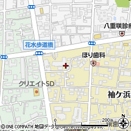 神奈川県平塚市袖ケ浜17周辺の地図