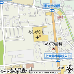 カインズ大井松田店周辺の地図