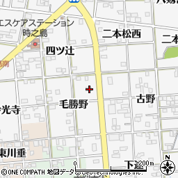 愛知県一宮市時之島毛勝野9周辺の地図