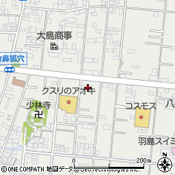 岐阜県羽島市竹鼻町狐穴1293周辺の地図
