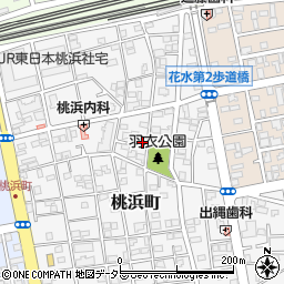 神奈川県平塚市桃浜町12-6周辺の地図
