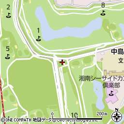 茅ヶ崎市役所　相模川河畔スポーツ公園周辺の地図