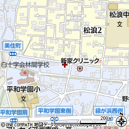 湘南たんぽぽ薬局周辺の地図