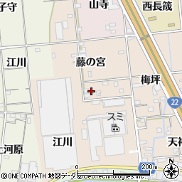 愛知県一宮市佐千原藤の宮55周辺の地図