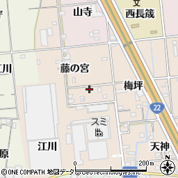 愛知県一宮市佐千原藤の宮60周辺の地図