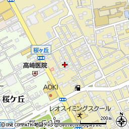 神奈川県平塚市中里48-20周辺の地図