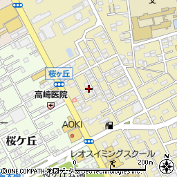 神奈川県平塚市中里48-18周辺の地図