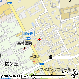 神奈川県平塚市中里48周辺の地図
