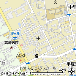 神奈川県平塚市中里43-11周辺の地図