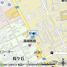 神奈川県平塚市中里49-13周辺の地図