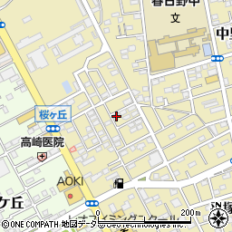 神奈川県平塚市中里42-11周辺の地図