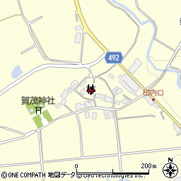 京都府福知山市報恩寺（林）周辺の地図